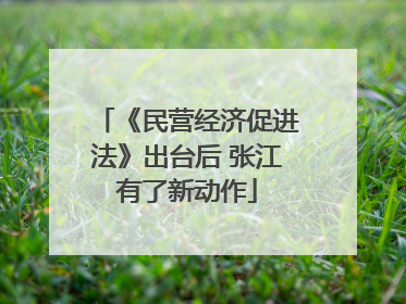 《民营经济促进法》出台后 张江有了新动作