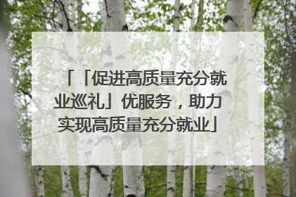 「促进高质量充分就业巡礼」优服务，助力实现高质量充分就业