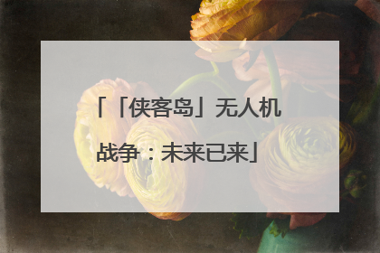 「侠客岛」无人机战争：未来已来