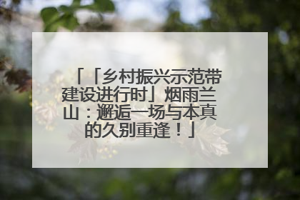 「乡村振兴示范带建设进行时」烟雨兰山：邂逅一场与本真的久别重逢！