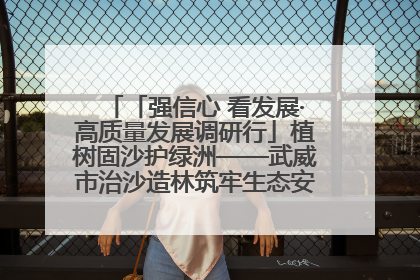 「强信心 看发展·高质量发展调研行」植树固沙护绿洲——武威市治沙造林筑牢生态安全屏障见闻