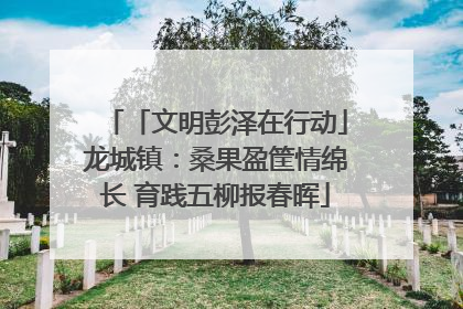 「文明彭泽在行动」龙城镇：桑果盈筐情绵长 育践五柳报春晖