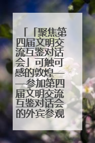「聚焦第四届文明交流互鉴对话会」可触可感的敦煌——参加第四届文明交流互鉴对话会的外宾参观上元市集