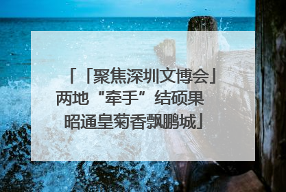 「聚焦深圳文博会」两地“牵手”结硕果 昭通皇菊香飘鹏城