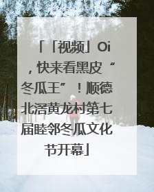 「视频」Oi，快来看黑皮“冬瓜王”！顺德北滘黄龙村第七届睦邻冬瓜文化节开幕