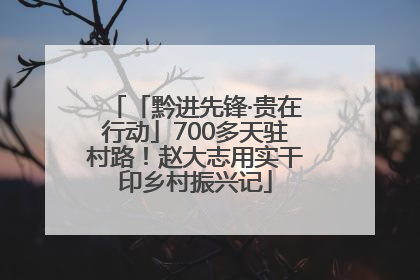 「黔进先锋·贵在行动」700多天驻村路！赵大志用实干印乡村振兴记