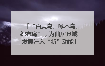 “百灵鸟、啄木鸟、织布鸟”，为仙居县域发展注入“新”动能