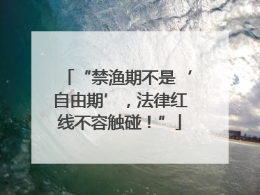 “禁渔期不是‘自由期’，法律红线不容触碰！”