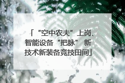 “空中农夫”上岗、智能设备“把脉” 新技术新装备竞技田间