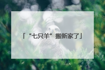 “七只羊”搬新家了