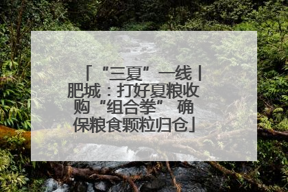 “三夏”一线丨肥城：打好夏粮收购“组合拳” 确保粮食颗粒归仓