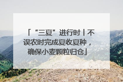 “三夏”进行时丨不误农时完成夏收夏种，确保小麦颗粒归仓