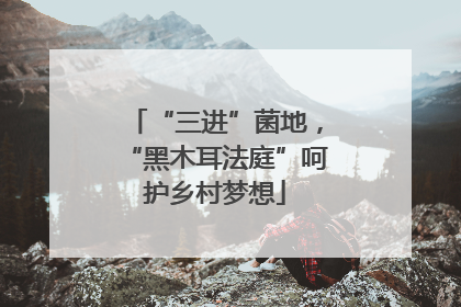 “三进”菌地，“黑木耳法庭”呵护乡村梦想