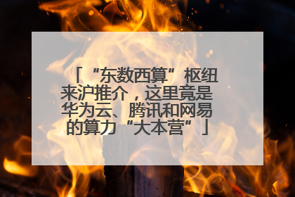 “东数西算”枢纽来沪推介，这里竟是华为云、腾讯和网易的算力“大本营”