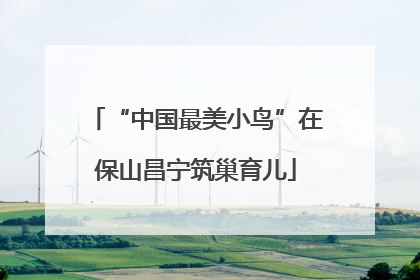 “中国最美小鸟”在保山昌宁筑巢育儿