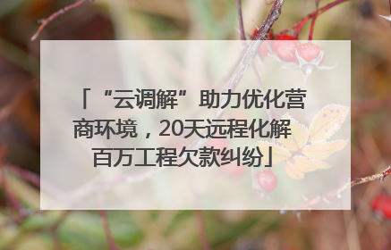 “云调解”助力优化营商环境，20天远程化解百万工程欠款纠纷