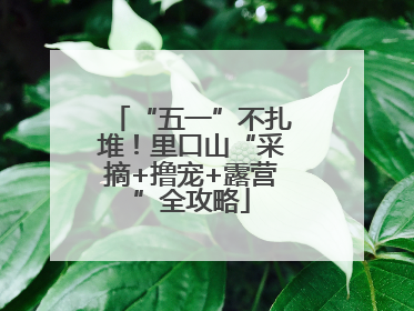 “五一”不扎堆！里口山“采摘+撸宠+露营”全攻略