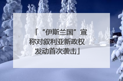 “伊斯兰国”宣称对叙利亚新政权发动首次袭击