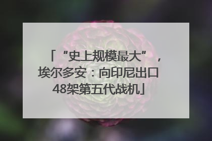 “史上规模最大”，埃尔多安：向印尼出口48架第五代战机