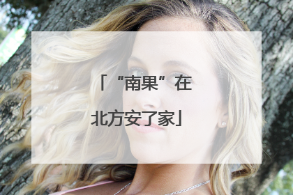 “南果”在北方安了家