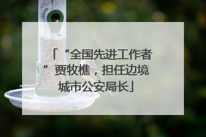 “全国先进工作者”贾牧樵，担任边境城市公安局长