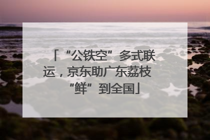 “公铁空”多式联运，京东助广东荔枝“鲜”到全国