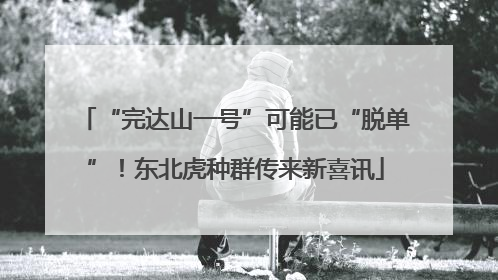 “完达山一号”可能已“脱单”！东北虎种群传来新喜讯