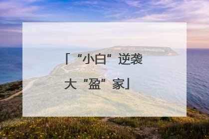 “小白”逆袭大“盈”家
