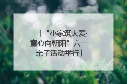 “小家筑大爱·童心向朝阳”六一亲子活动举行