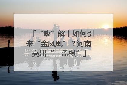 “政”解丨如何引来“金凤凰”？河南亮出“一盘棋”
