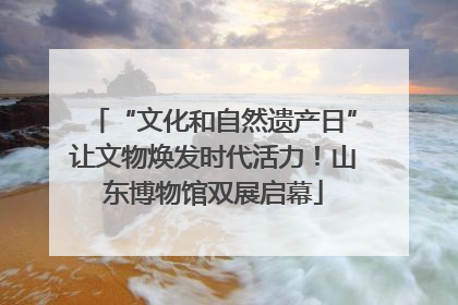 “文化和自然遗产日”让文物焕发时代活力！山东博物馆双展启幕
