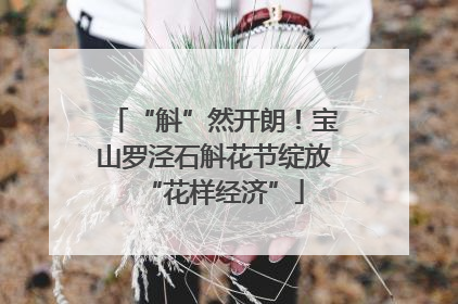 “斛”然开朗！宝山罗泾石斛花节绽放“花样经济”