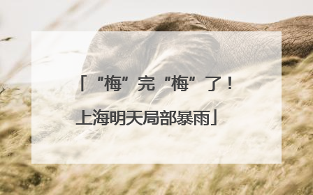 “梅”完“梅”了！上海明天局部暴雨