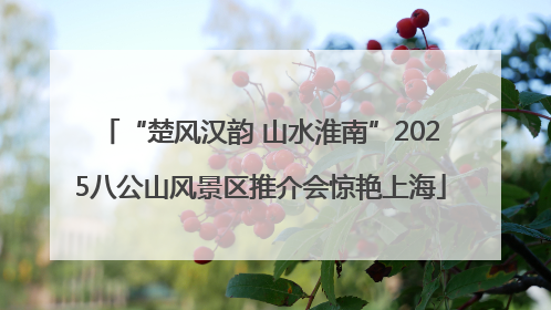 “楚风汉韵 山水淮南”2025八公山风景区推介会惊艳上海