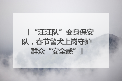 “汪汪队”变身保安队，春节警犬上岗守护群众“安全感”