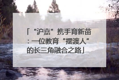 “沪嘉”携手育新苗：一位教育“摆渡人”的长三角融合之路