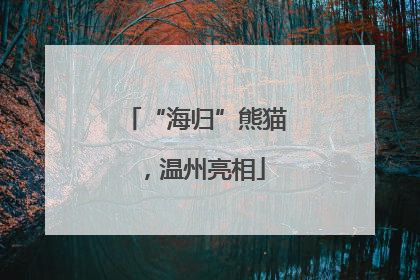 “海归”熊猫，温州亮相
