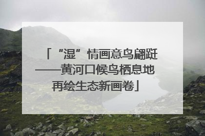 “湿”情画意鸟翩跹——黄河口候鸟栖息地再绘生态新画卷