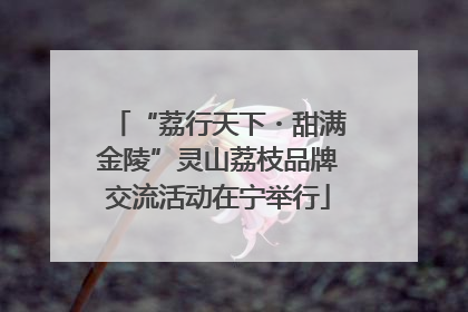 “荔行天下・甜满金陵”灵山荔枝品牌交流活动在宁举行