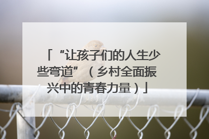 “让孩子们的人生少些弯道”（乡村全面振兴中的青春力量）