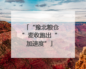 “豫北粮仓”麦收跑出“加速度”