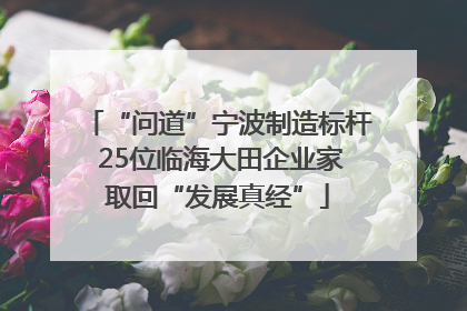 “问道”宁波制造标杆 25位临海大田企业家取回“发展真经”