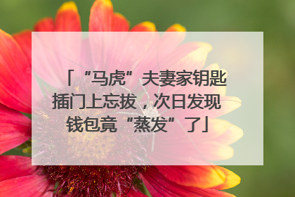“马虎”夫妻家钥匙插门上忘拔，次日发现钱包竟“蒸发”了