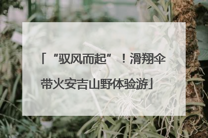 “驭风而起”！滑翔伞带火安吉山野体验游