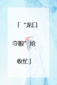 “龙口夺粮”抢收忙