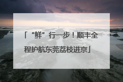 “鲜”行一步！顺丰全程护航东莞荔枝进京