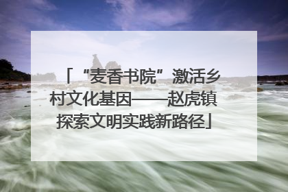 “麦香书院”激活乡村文化基因——赵虎镇探索文明实践新路径