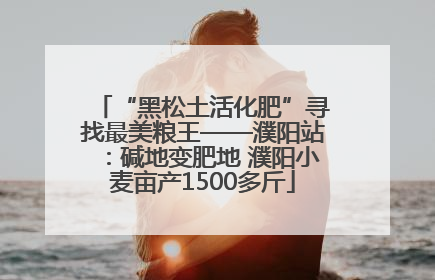 “黑松土活化肥”寻找最美粮王——濮阳站：碱地变肥地 濮阳小麦亩产1500多斤