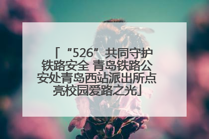 “526”共同守护铁路安全 青岛铁路公安处青岛西站派出所点亮校园爱路之光