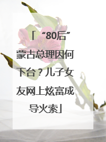 “80后”蒙古总理因何下台？儿子女友网上炫富成导火索